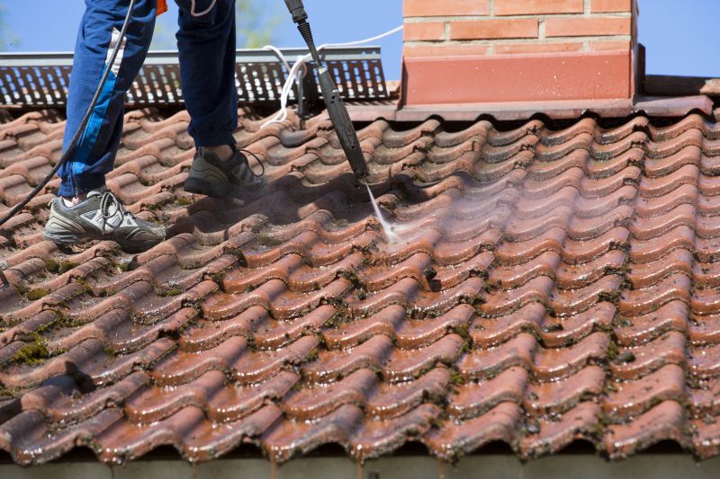 Roof Cleaning Service