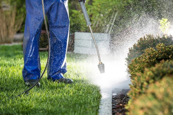 Curb Cleaning in Arroyo Grande