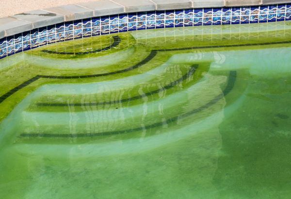 Pool Deck Algae Removal in Arroyo Grande