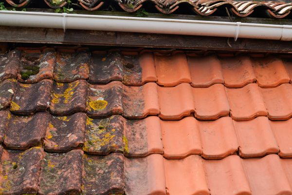 Industrial Roof Cleaning in Arroyo Grande